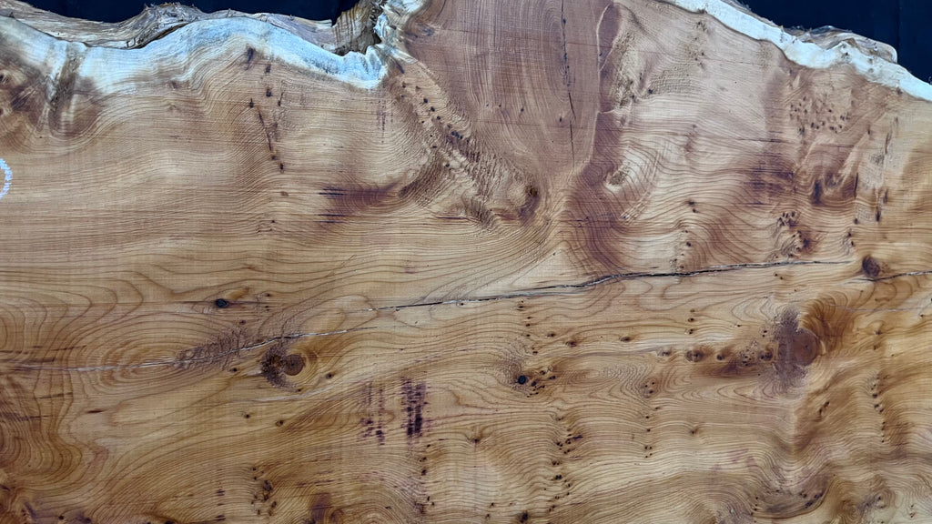 Pippy Yew coffee table top, hardwood, slab, board, 1270 L x 450 W x 42 D mm    (606)