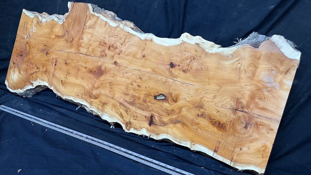 Pippy Yew coffee table top, hardwood, slab, board, 1270 L x 450 W x 42 D mm    (606)