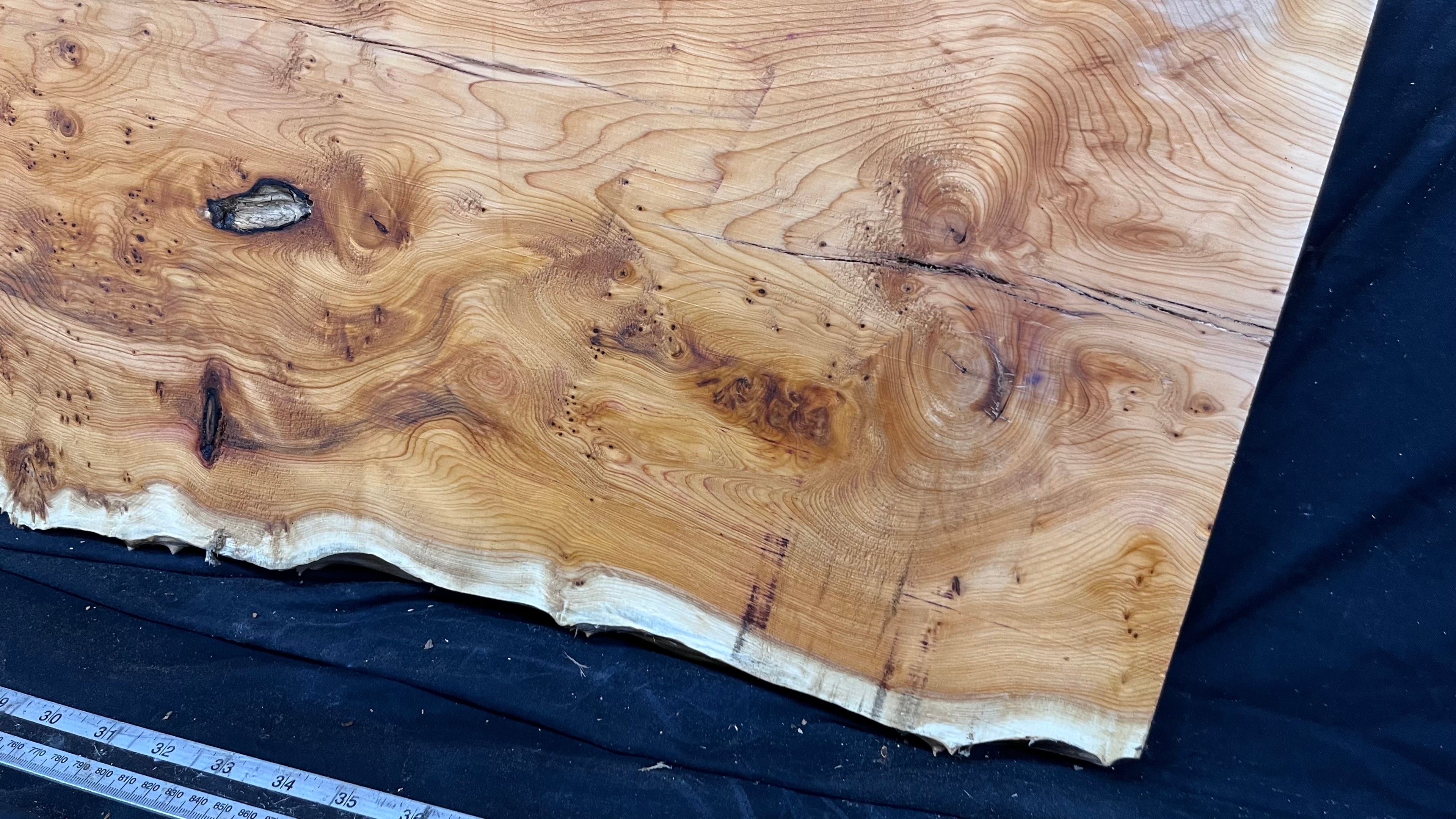 Pippy Yew coffee table top, hardwood, slab, board, 1270 L x 450 W x 42 D mm    (606)