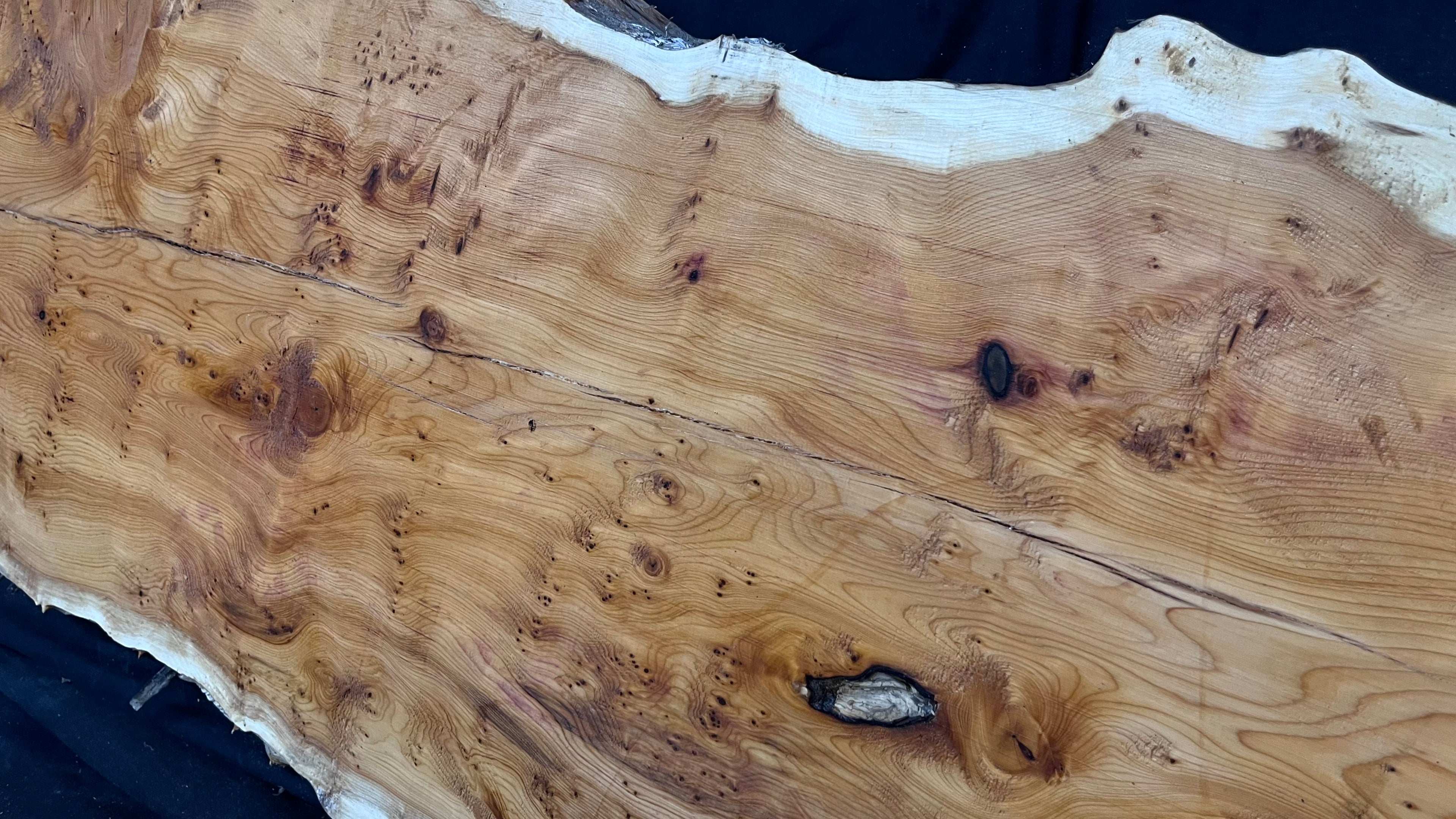 Pippy Yew coffee table top, hardwood, slab, board, 1270 L x 450 W x 42 D mm    (606)
