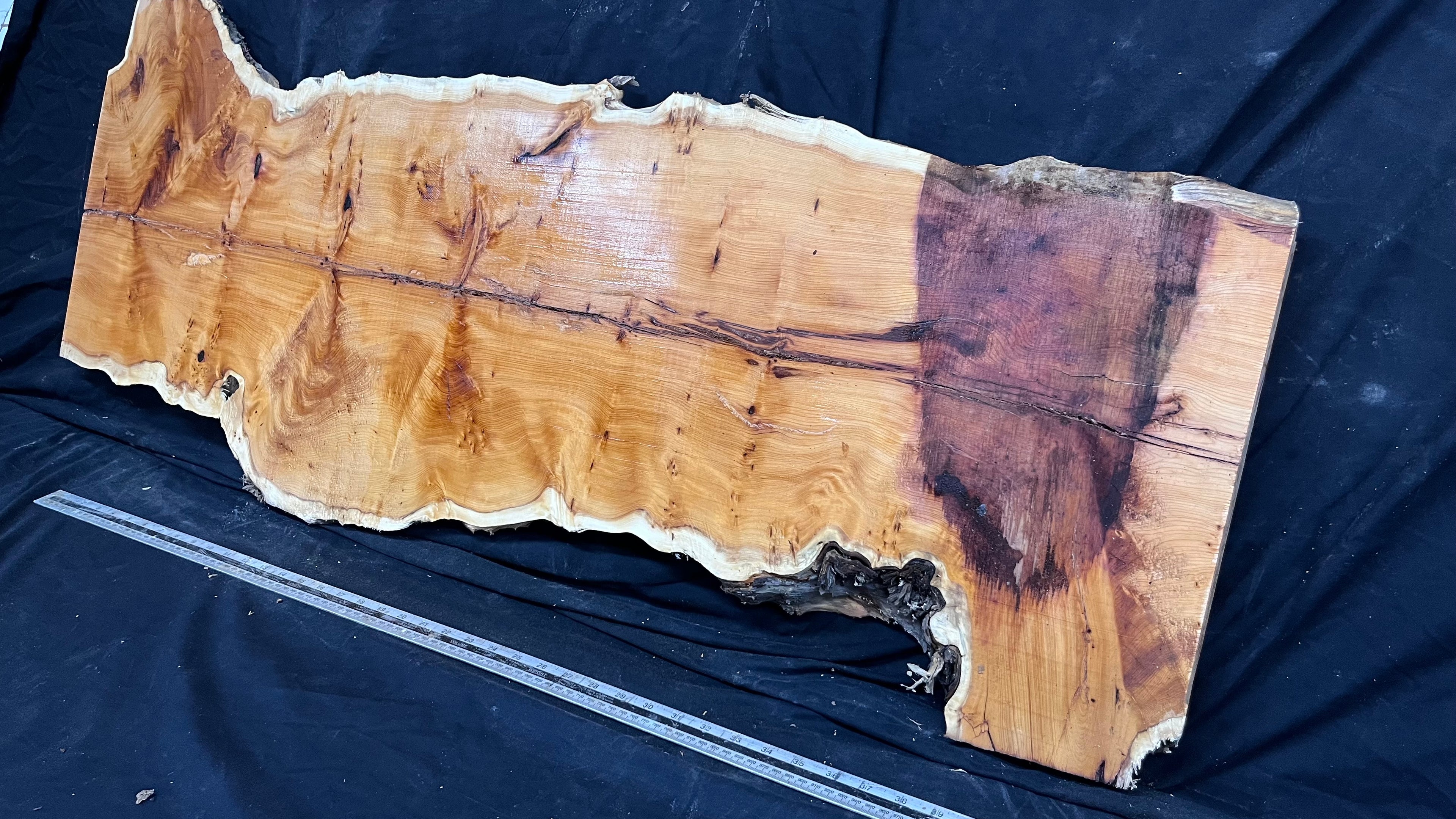 Pippy Yew coffee table top, hardwood, slab, board, 1270 L x 450 W x 42 D mm    (606)
