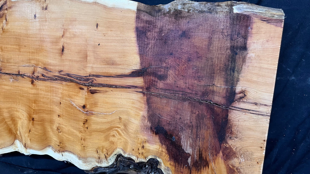 Pippy Yew coffee table top, hardwood, slab, board, 1270 L x 450 W x 42 D mm    (606)