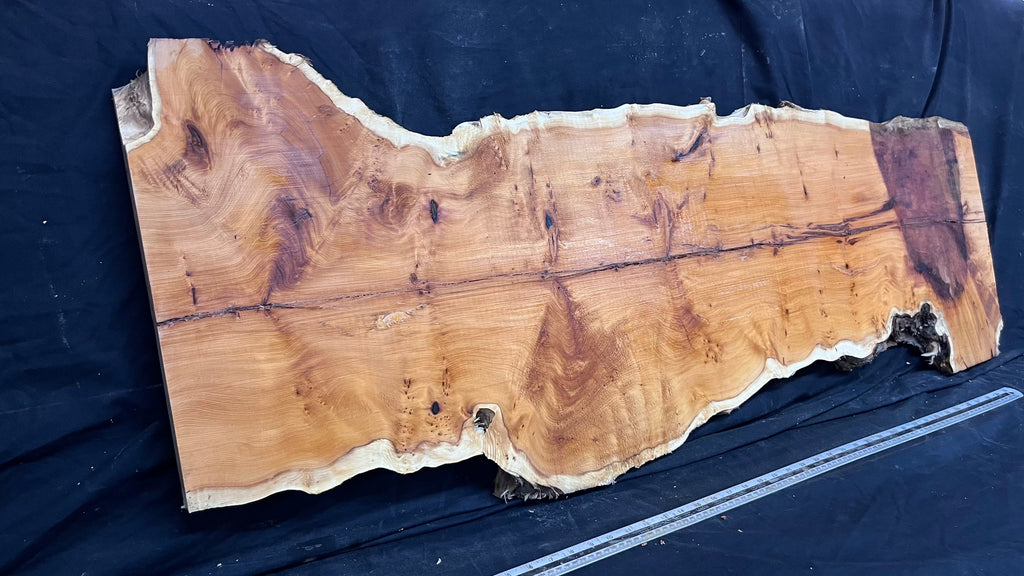 Pippy Yew coffee table top, hardwood, slab, board, 1270 L x 450 W x 42 D mm    (606)