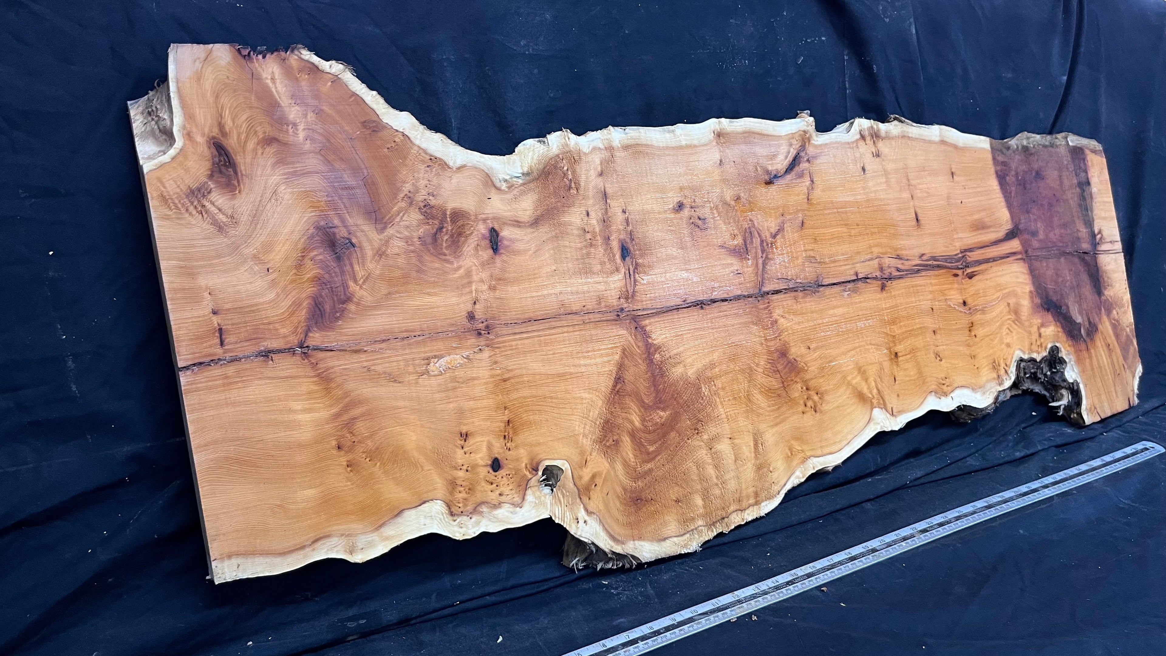 Pippy Yew coffee table top, hardwood, slab, board, 1270 L x 450 W x 42 D mm    (606)