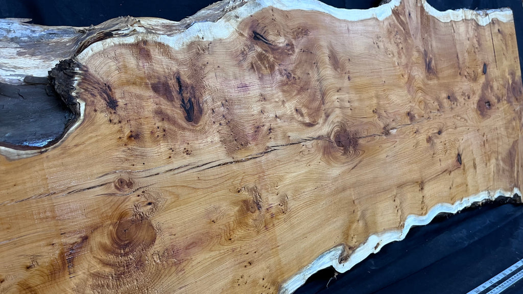 Pippy Yew coffee table top, hardwood, slab, board, 1490 L x 515 W x 40 D mm    (607)