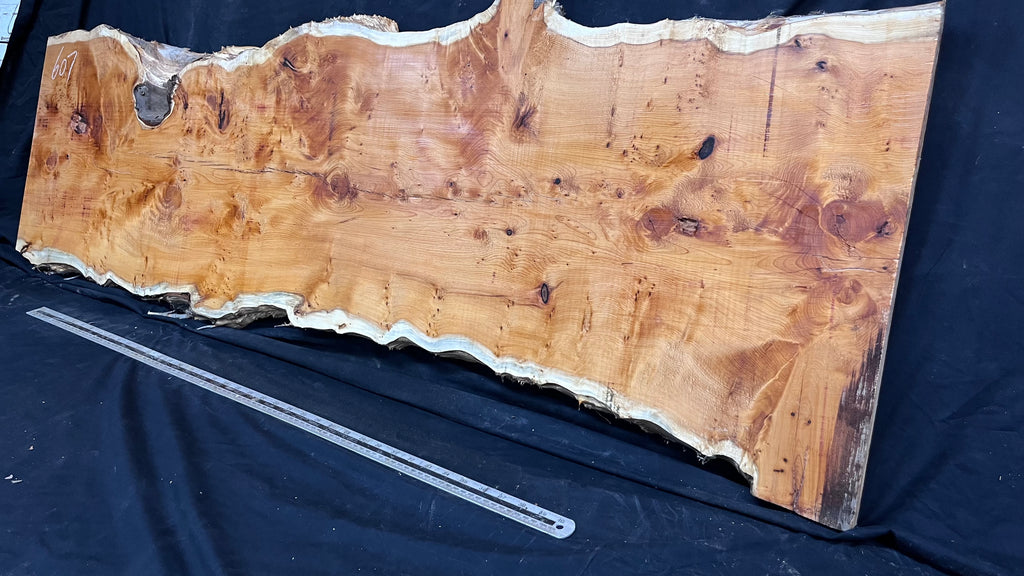 Pippy Yew coffee table top, hardwood, slab, board, 1490 L x 515 W x 40 D mm    (607)