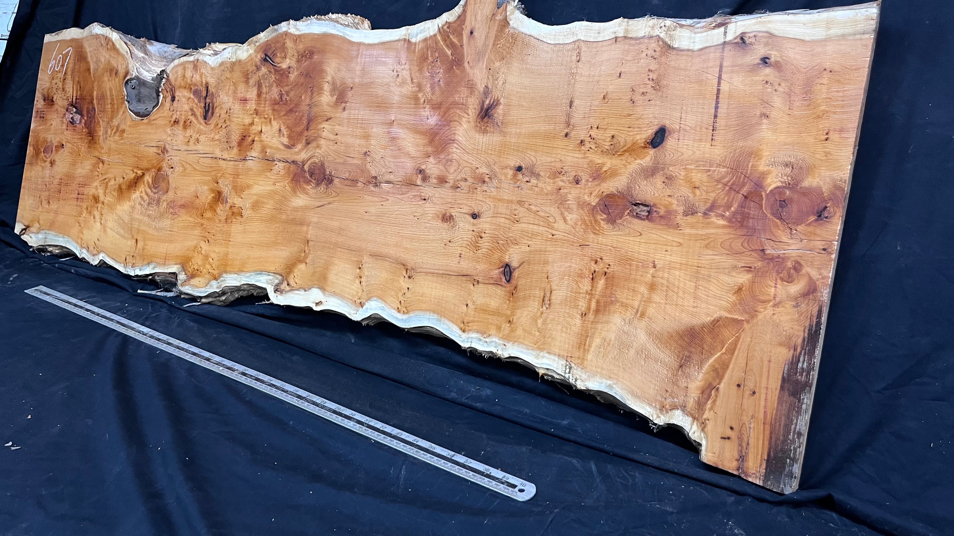 Pippy Yew coffee table top, hardwood, slab, board, 1490 L x 515 W x 40 D mm    (607)