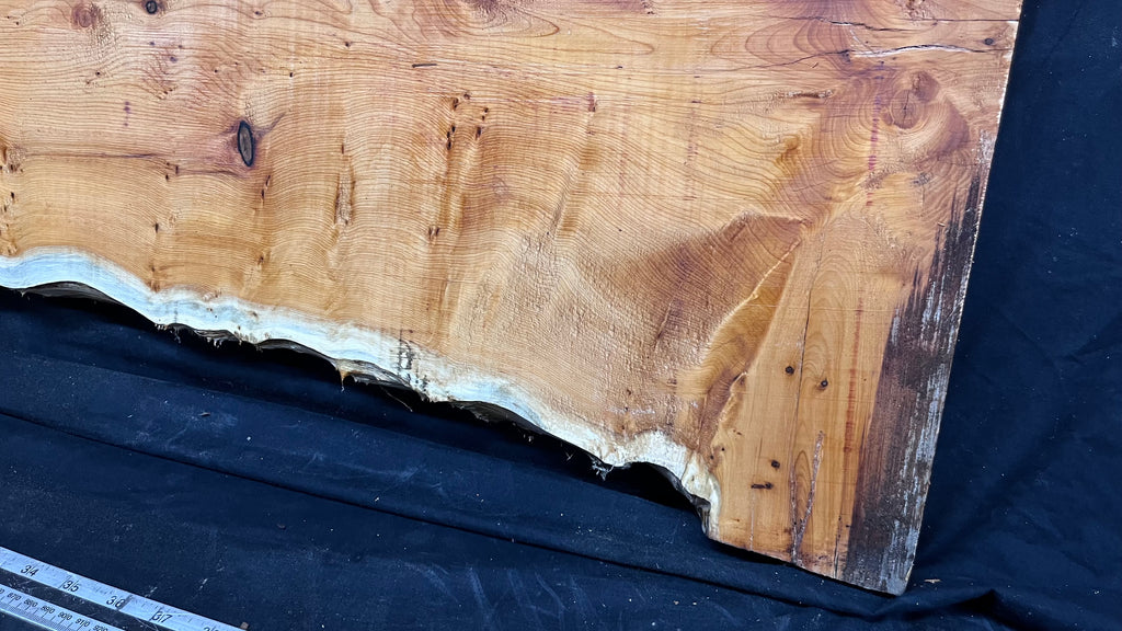 Pippy Yew coffee table top, hardwood, slab, board, 1490 L x 515 W x 40 D mm    (607)