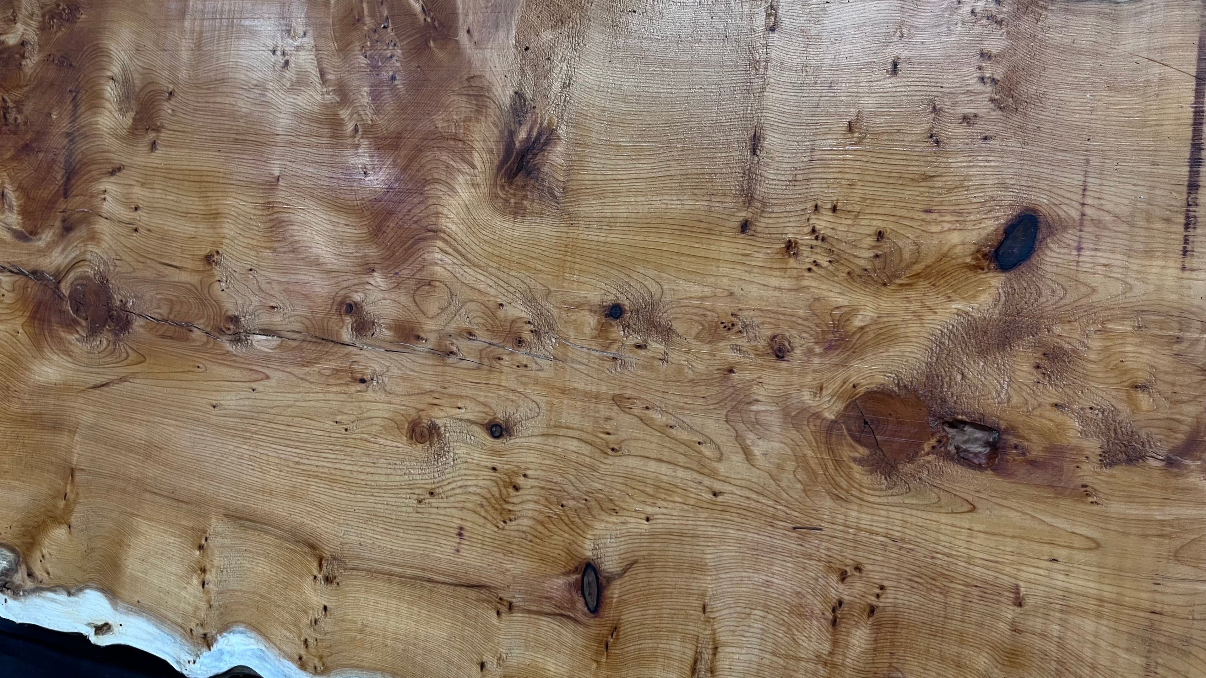 Pippy Yew coffee table top, hardwood, slab, board, 1490 L x 515 W x 40 D mm    (607)