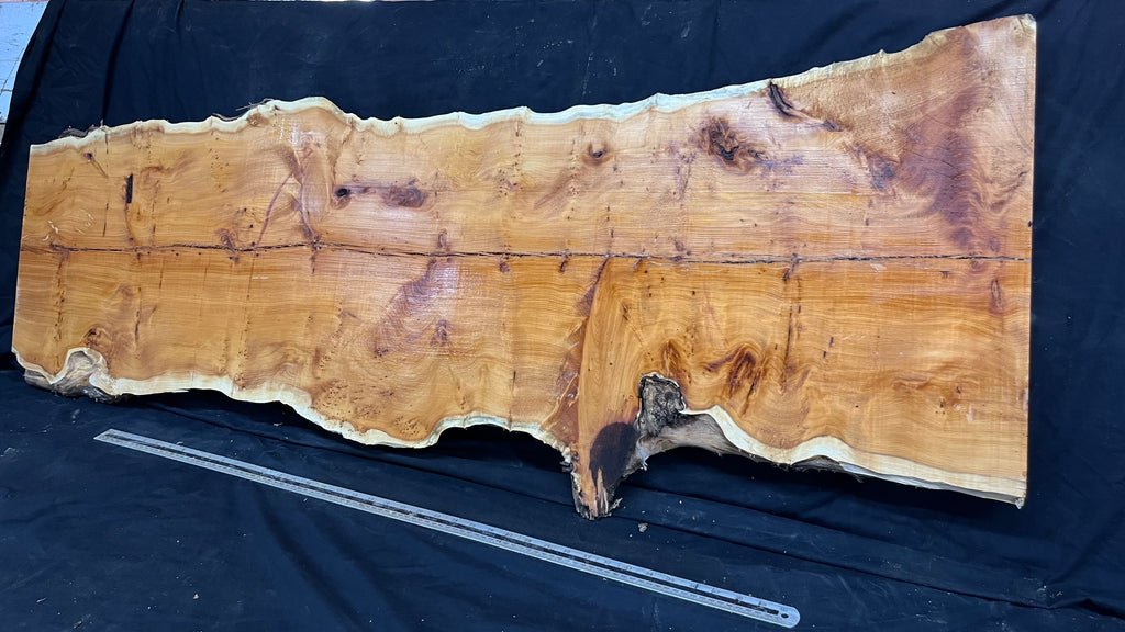 Pippy Yew coffee table top, hardwood, slab, board, 1490 L x 515 W x 40 D mm    (607)