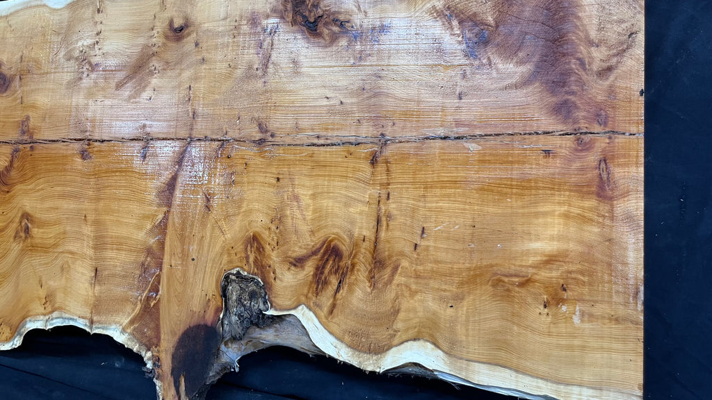 Pippy Yew coffee table top, hardwood, slab, board, 1490 L x 515 W x 40 D mm    (607)