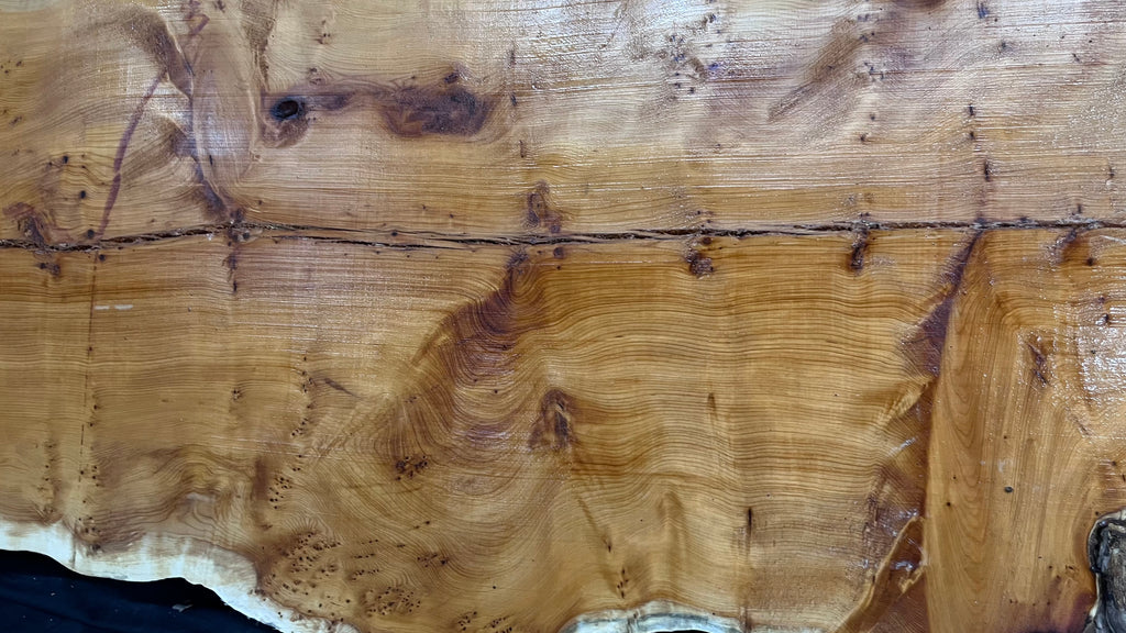 Pippy Yew coffee table top, hardwood, slab, board, 1490 L x 515 W x 40 D mm    (607)
