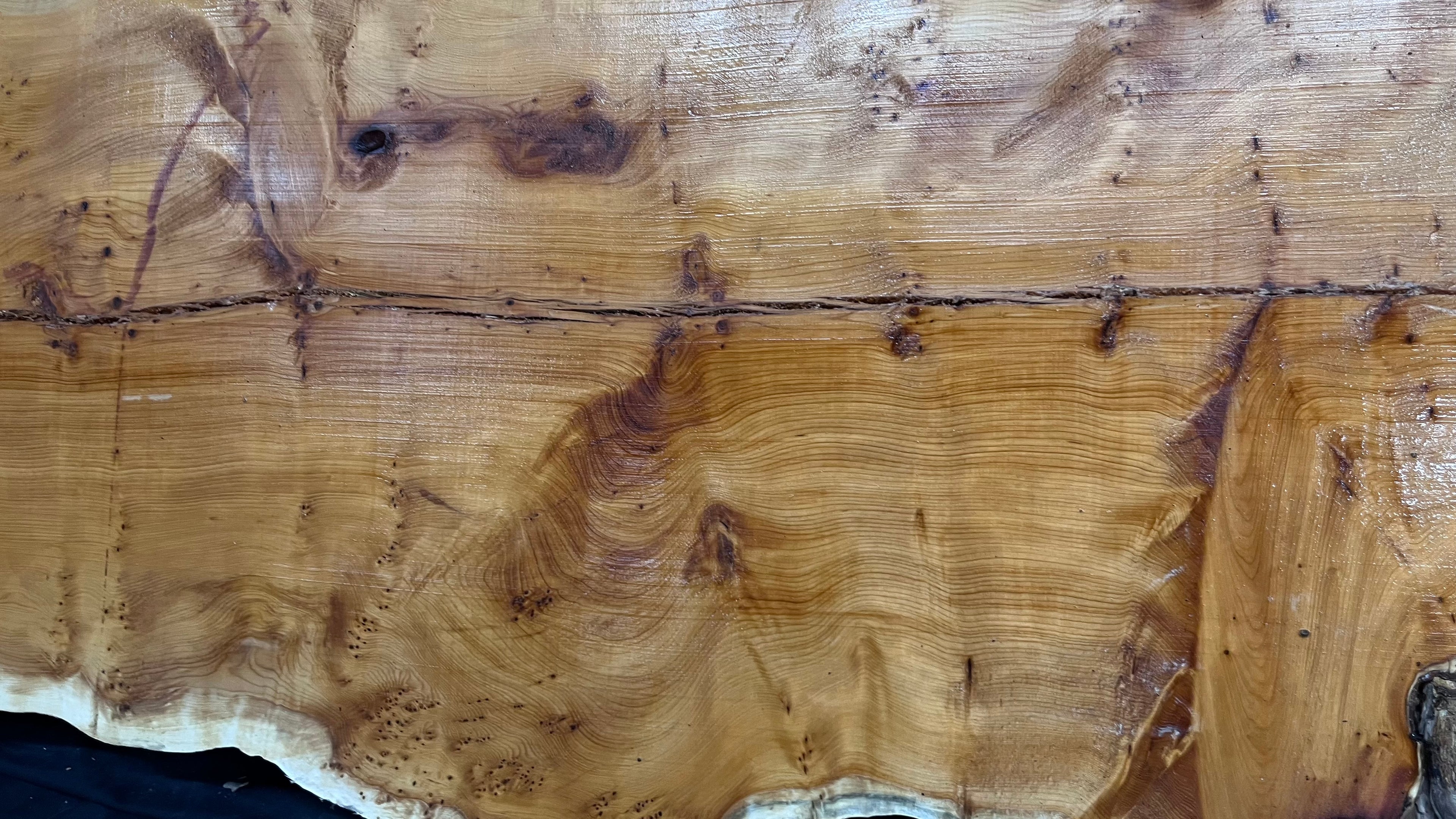 Pippy Yew coffee table top, hardwood, slab, board, 1490 L x 515 W x 40 D mm    (607)