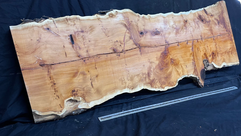 Pippy Yew coffee table top, hardwood, slab, board, 1490 L x 515 W x 40 D mm    (607)
