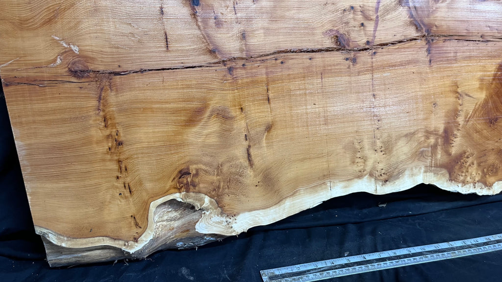 Pippy Yew coffee table top, hardwood, slab, board, 1490 L x 515 W x 40 D mm    (607)