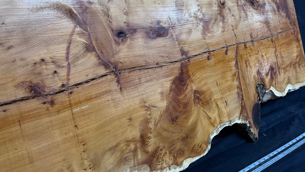 Pippy Yew coffee table top, hardwood, slab, board, 1490 L x 515 W x 40 D mm    (607)