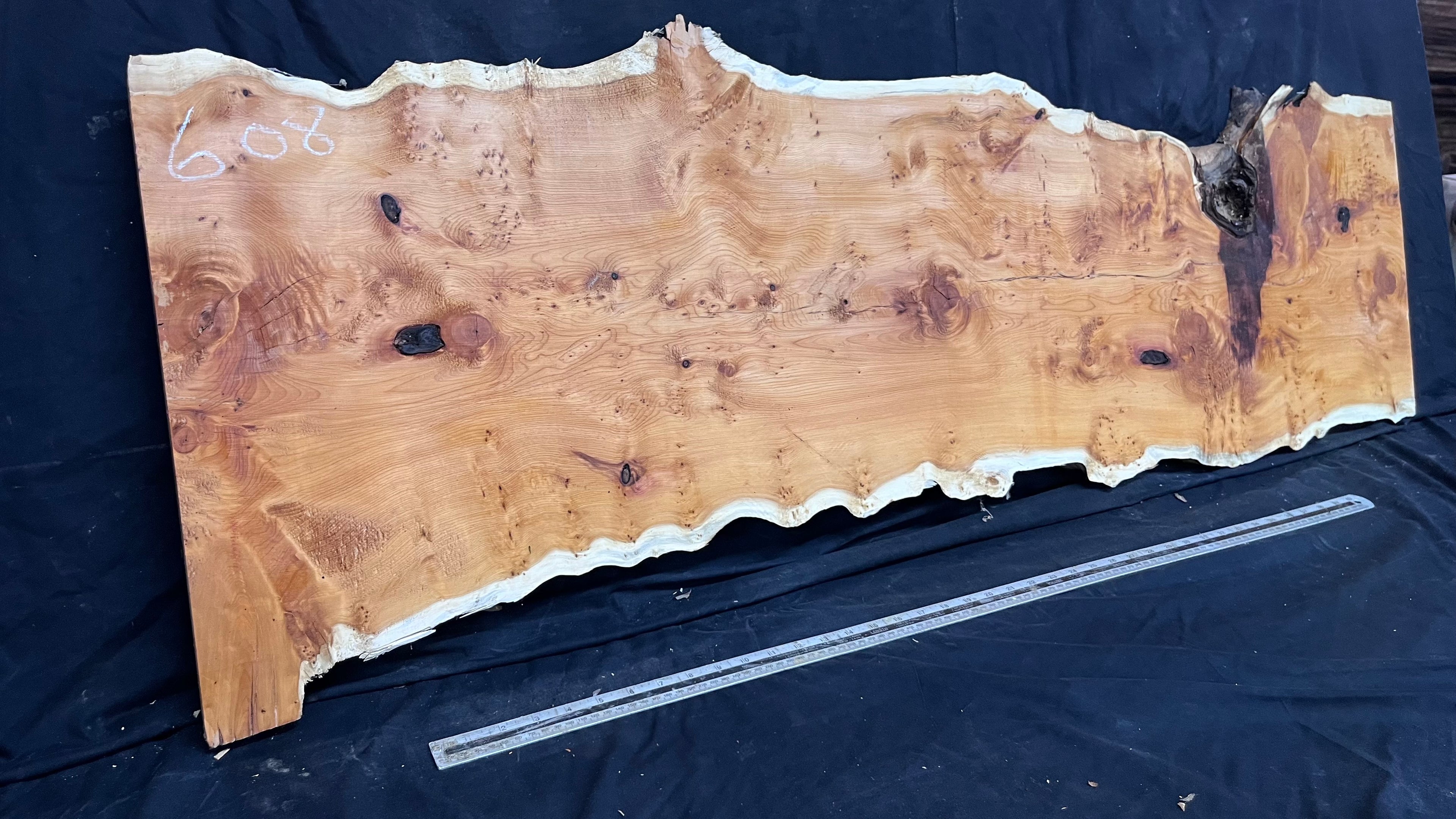 Pippy Yew coffee table top, hardwood, slab, board, 1433 L x 483 W x 42 D mm    (608)