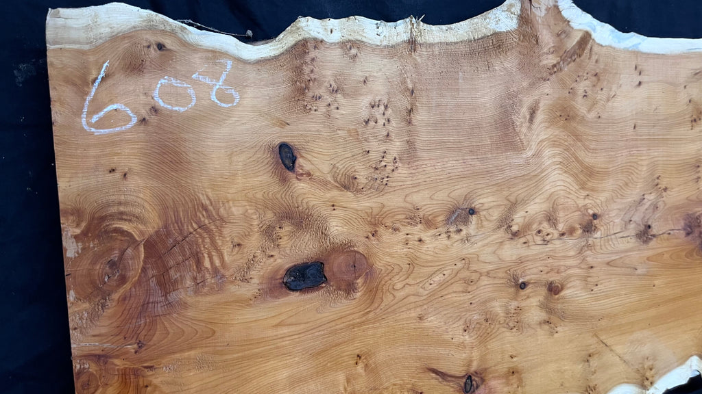Pippy Yew coffee table top, hardwood, slab, board, 1433 L x 483 W x 42 D mm    (608)