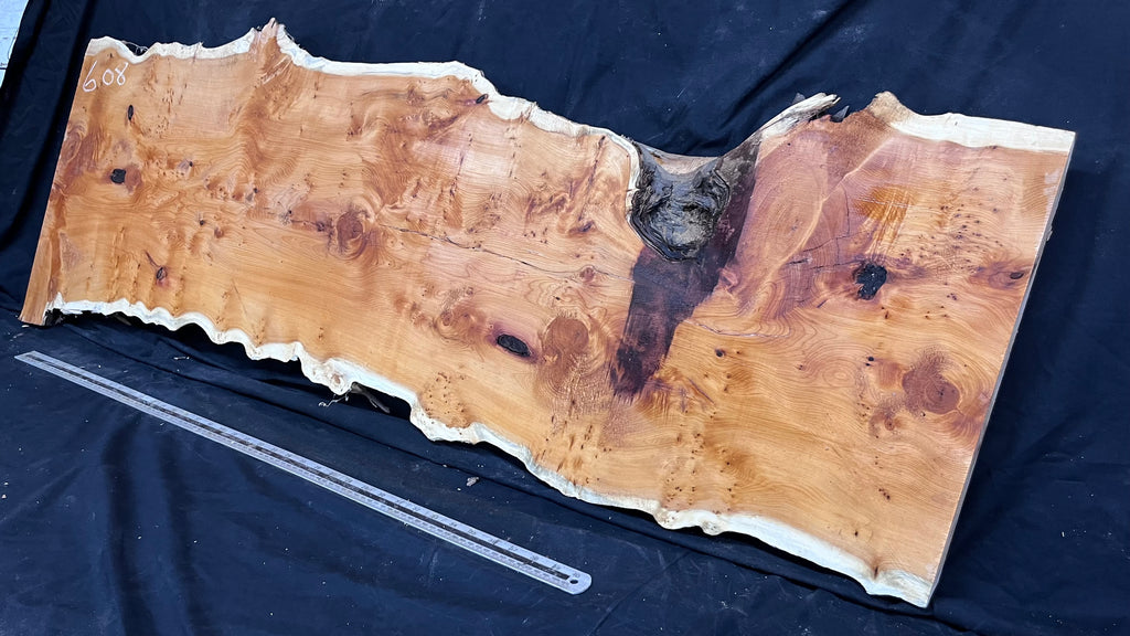 Pippy Yew coffee table top, hardwood, slab, board, 1433 L x 483 W x 42 D mm    (608)