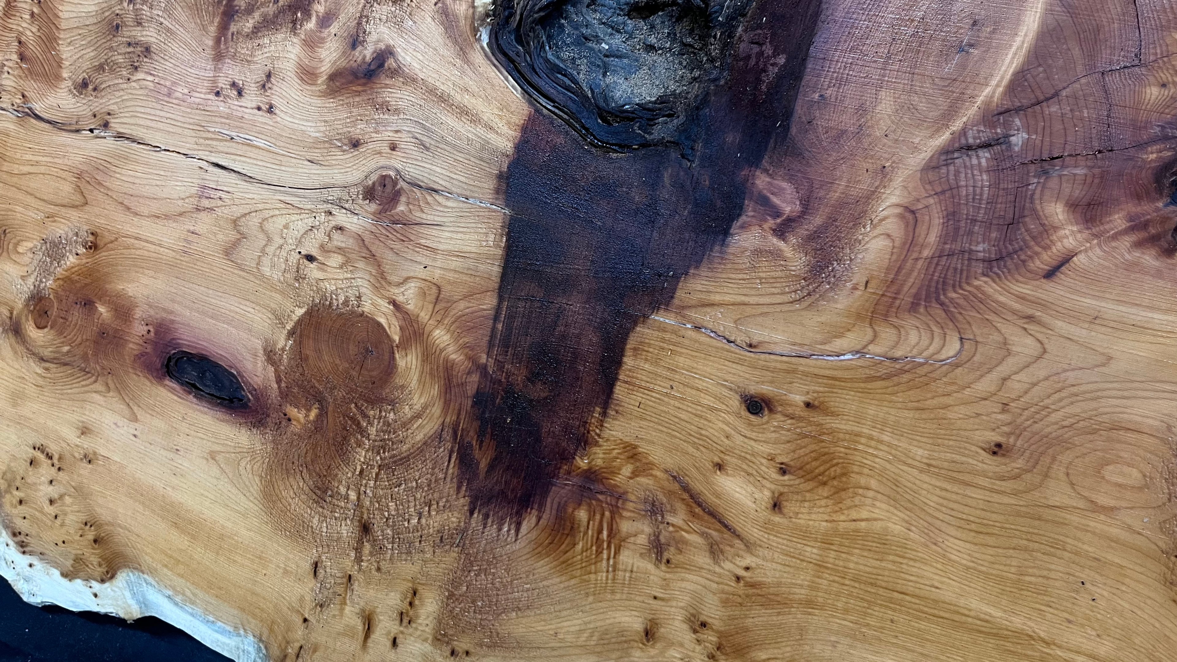 Pippy Yew coffee table top, hardwood, slab, board, 1433 L x 483 W x 42 D mm    (608)