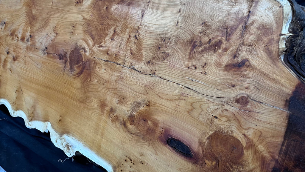 Pippy Yew coffee table top, hardwood, slab, board, 1433 L x 483 W x 42 D mm    (608)