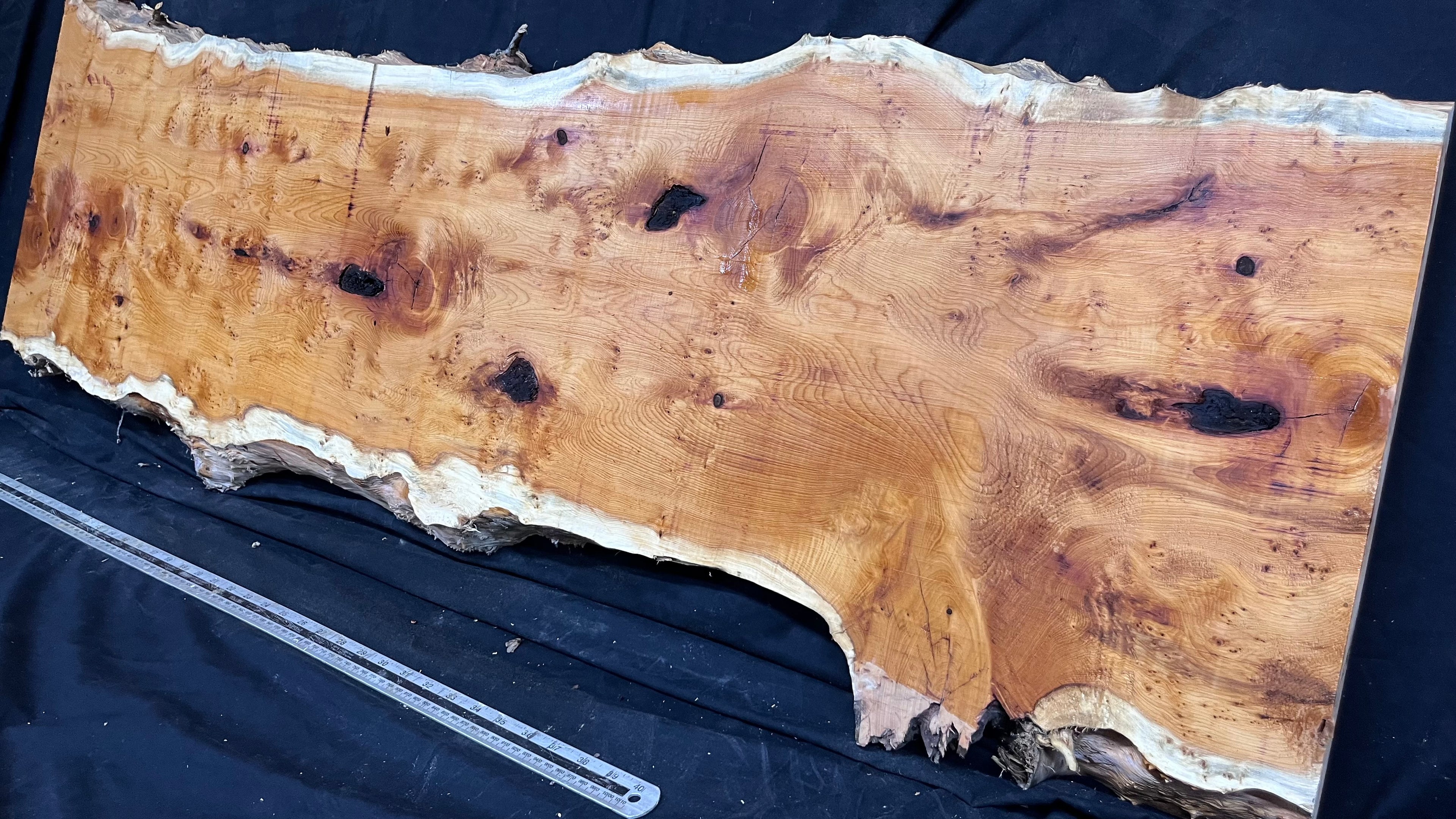 Pippy Yew coffee table top, hardwood, slab, board, 1433 L x 483 W x 42 D mm    (608)