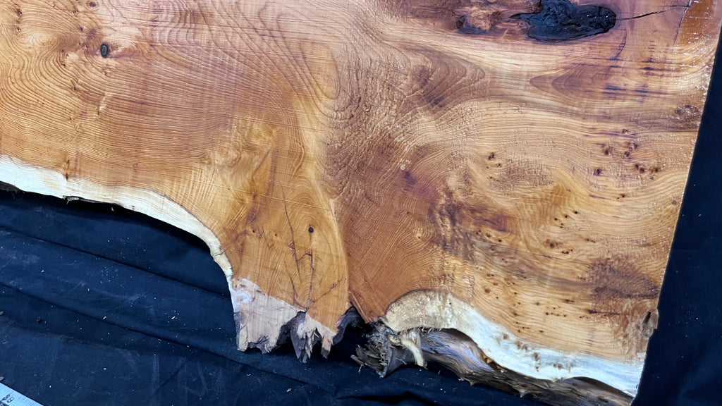 Pippy Yew coffee table top, hardwood, slab, board, 1433 L x 483 W x 42 D mm    (608)