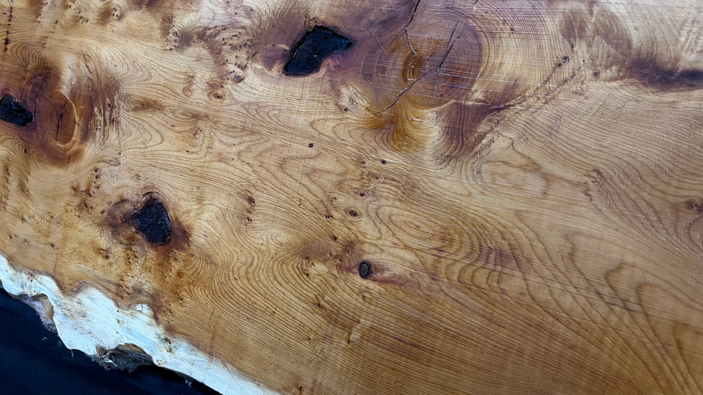 Pippy Yew coffee table top, hardwood, slab, board, 1433 L x 483 W x 42 D mm    (608)