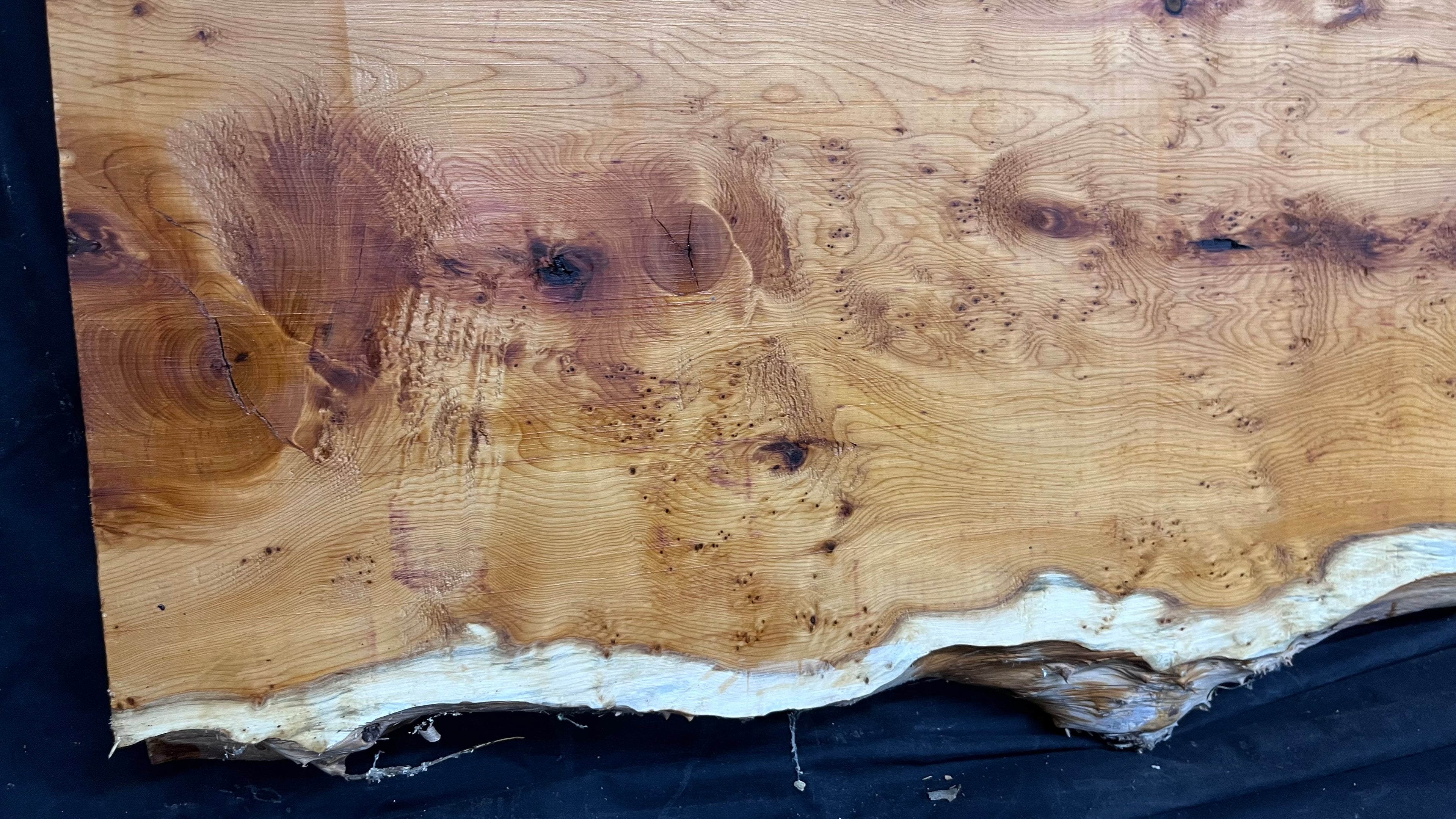Pippy Yew coffee table top, hardwood, slab, board, 1433 L x 483 W x 42 D mm    (608)