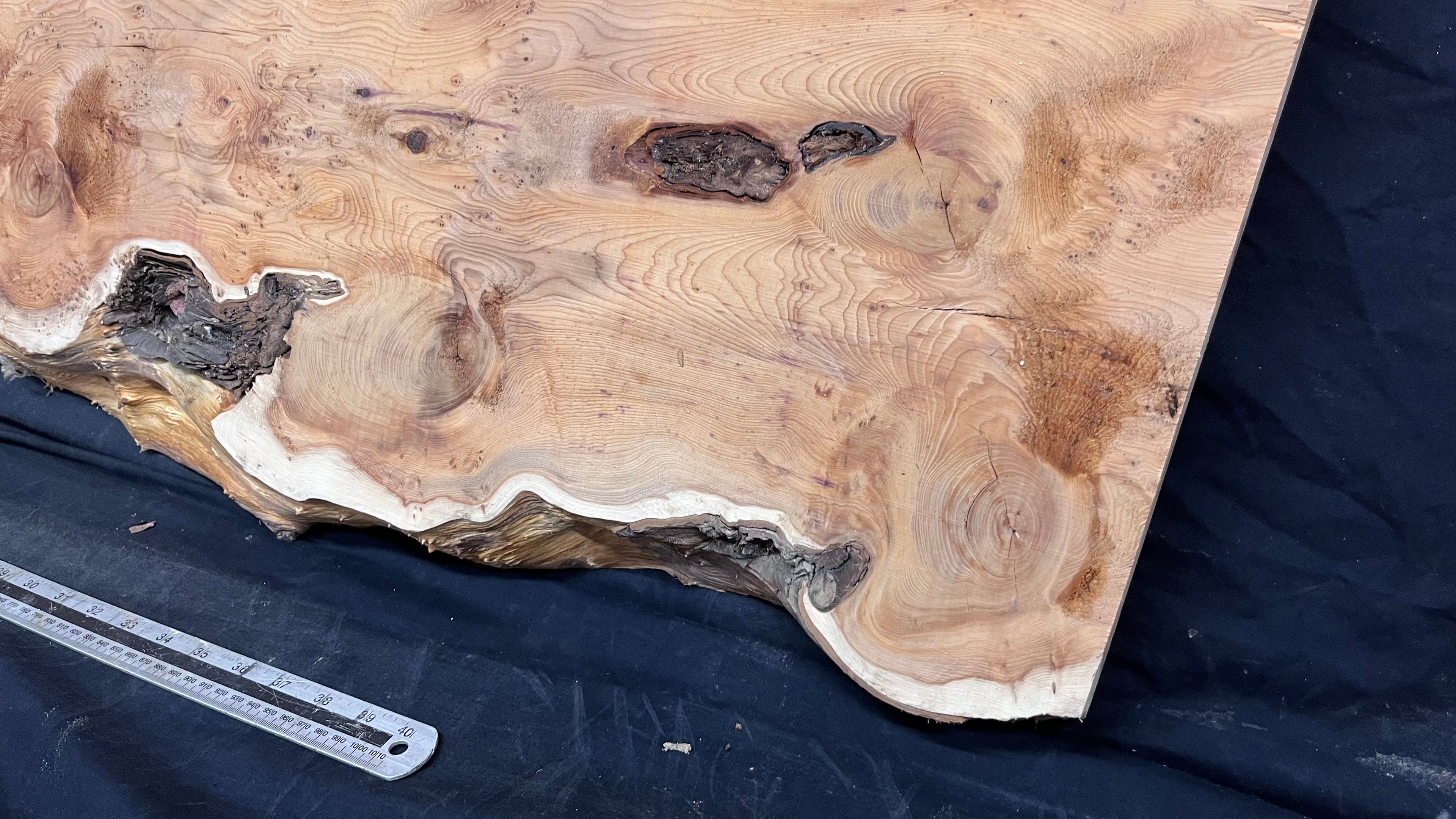Pippy Yew coffee table top, hardwood, slab, board, 1289 L x 414 W x 42 D mm    (607A)