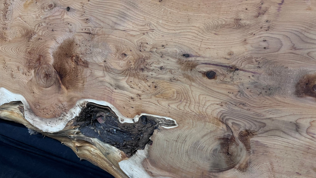 Pippy Yew coffee table top, hardwood, slab, board, 1289 L x 414 W x 42 D mm    (607A)