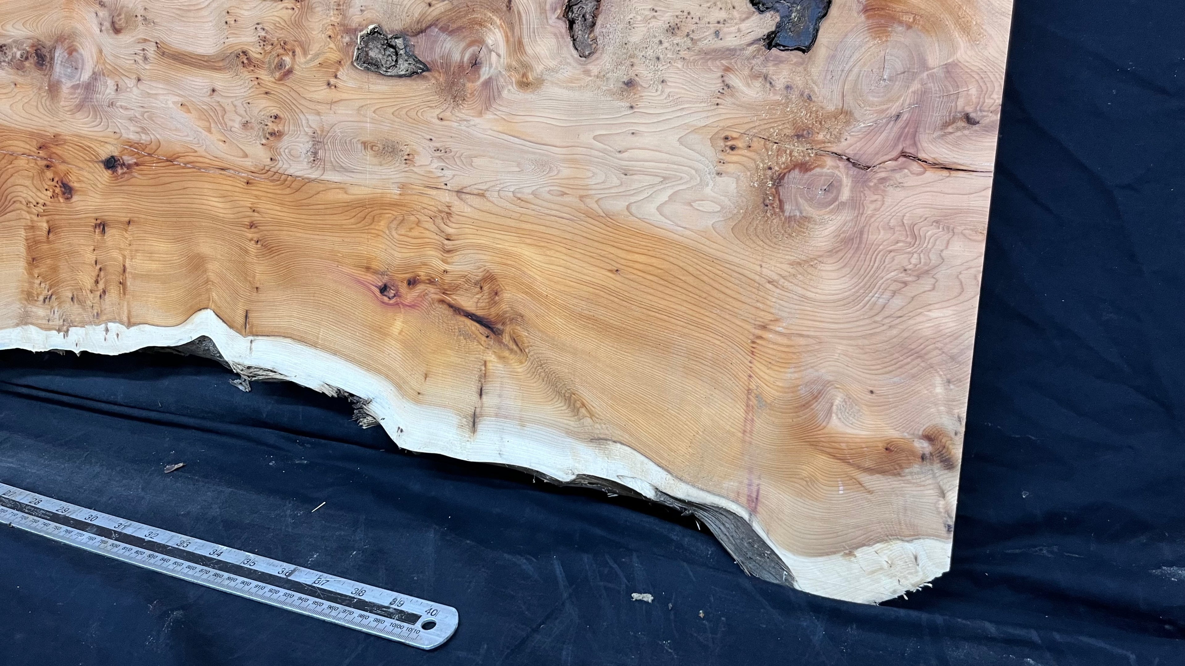 Pippy Yew coffee table top, hardwood, slab, board, 1289 L x 414 W x 42 D mm    (607A)