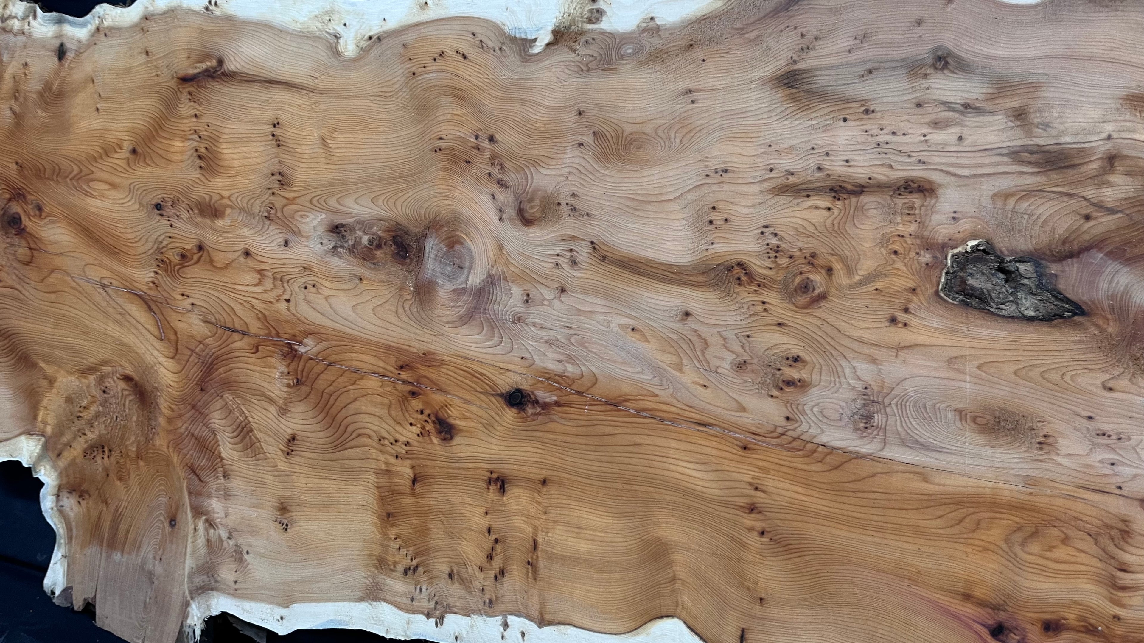 Pippy Yew coffee table top, hardwood, slab, board, 1289 L x 414 W x 42 D mm    (607A)