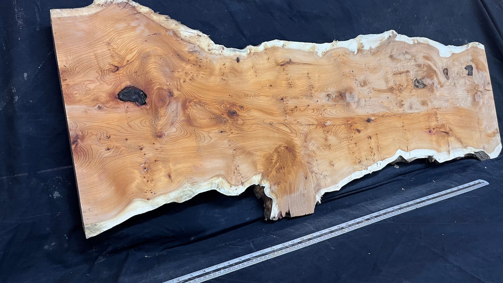Pippy Yew coffee table top, hardwood, slab, board, 1289 L x 414 W x 42 D mm    (607A)