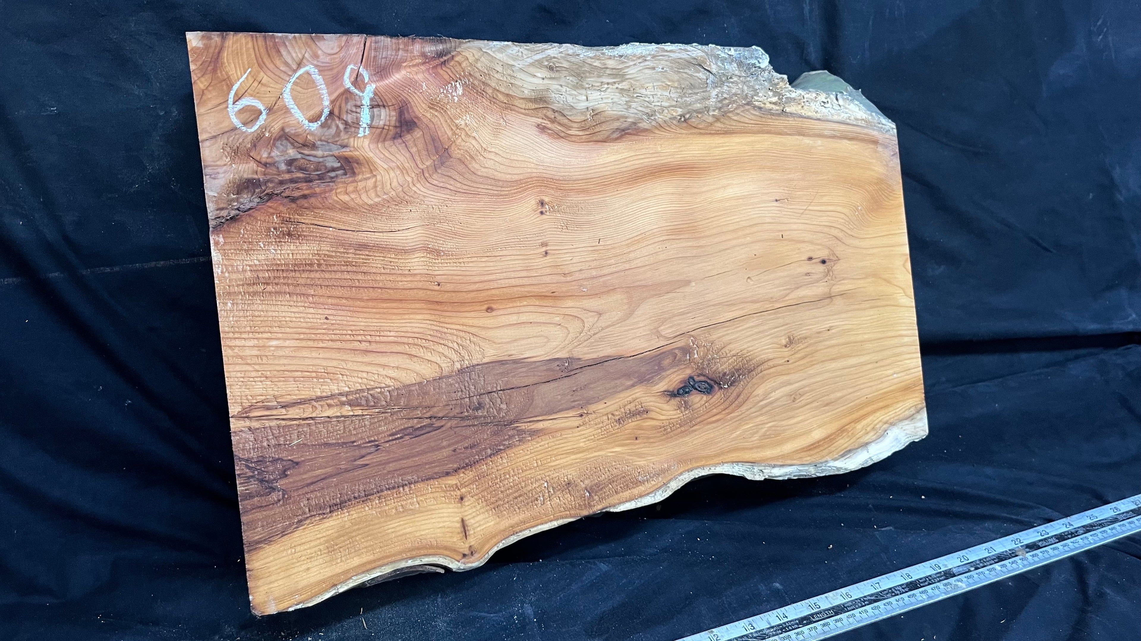Yew, mantle piece, slab, board, block 478 L x 320 W x 83 D mm    (mt609)