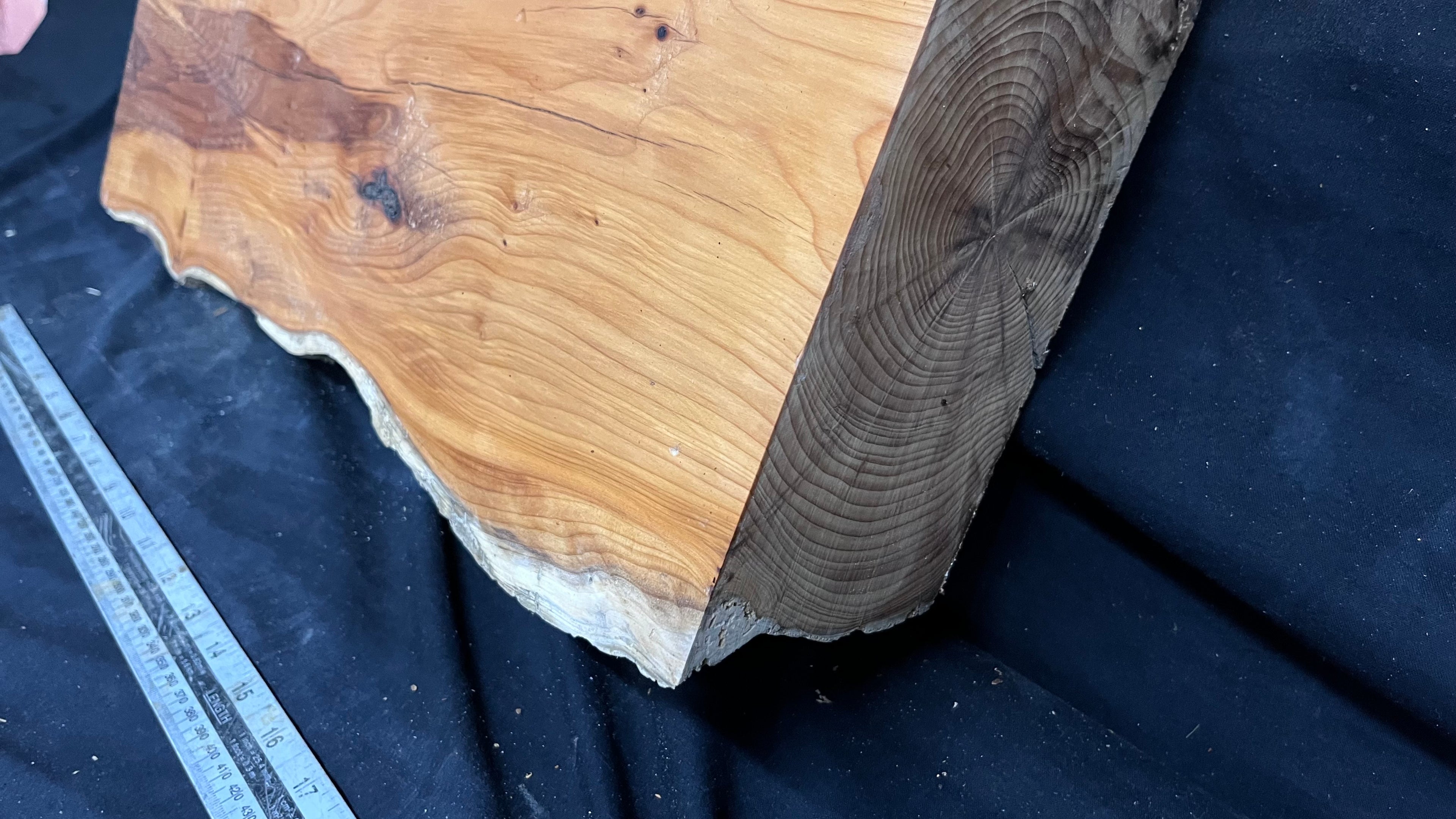 Yew, mantle piece, slab, board, block 478 L x 320 W x 83 D mm    (mt609)