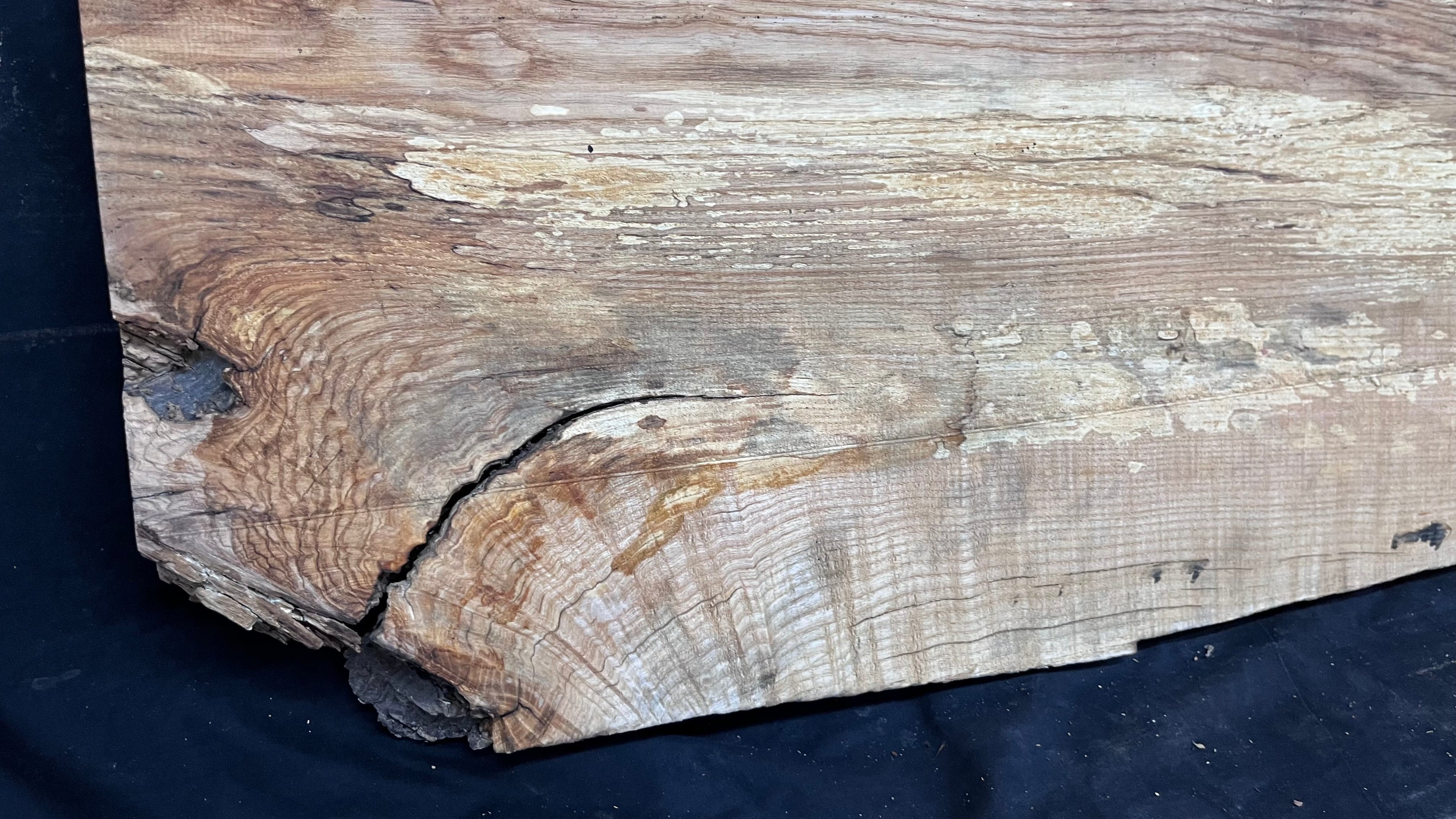 Resin table top, ash boards, shelving 945 L x 545 W x 34 D mm       (611)