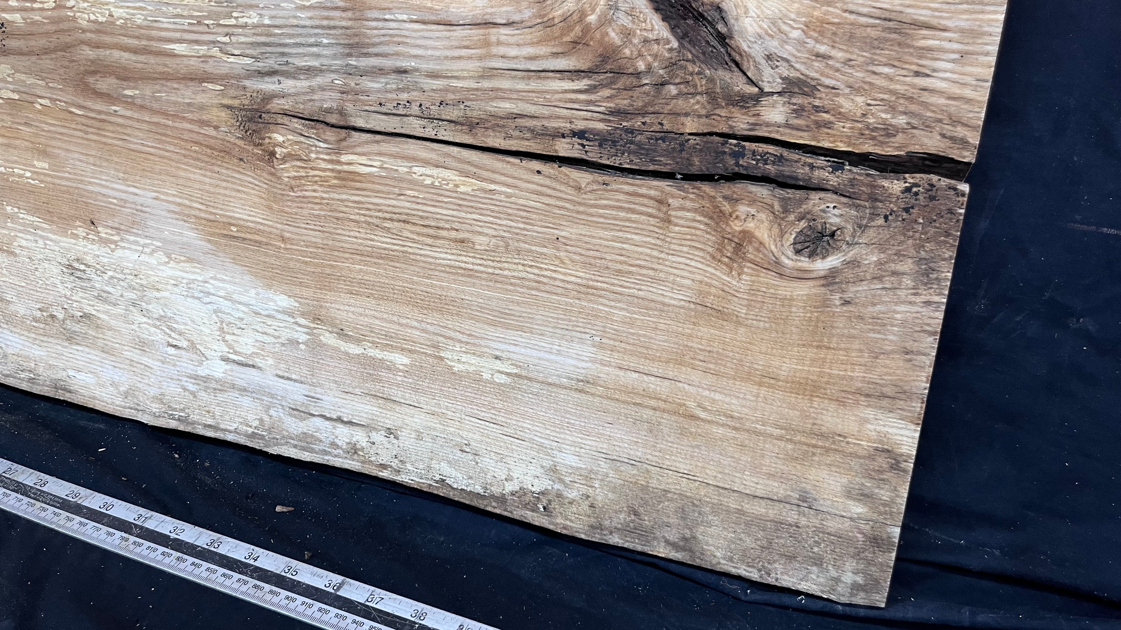 Resin table top, ash boards, shelving 1224 L x 528 W x 35 D mm       (612)