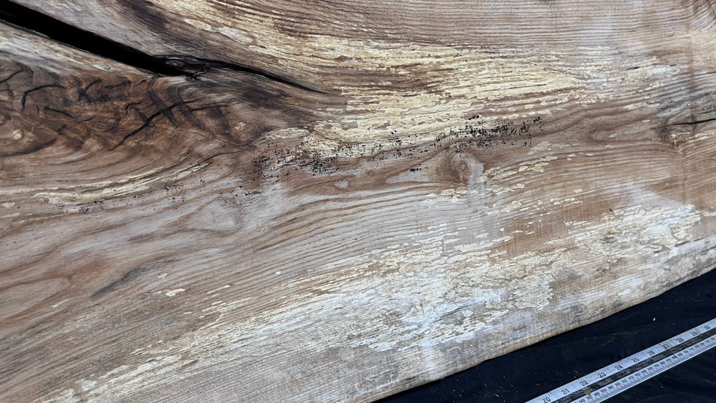 Resin table top, ash boards, shelving 1224 L x 528 W x 35 D mm       (612)