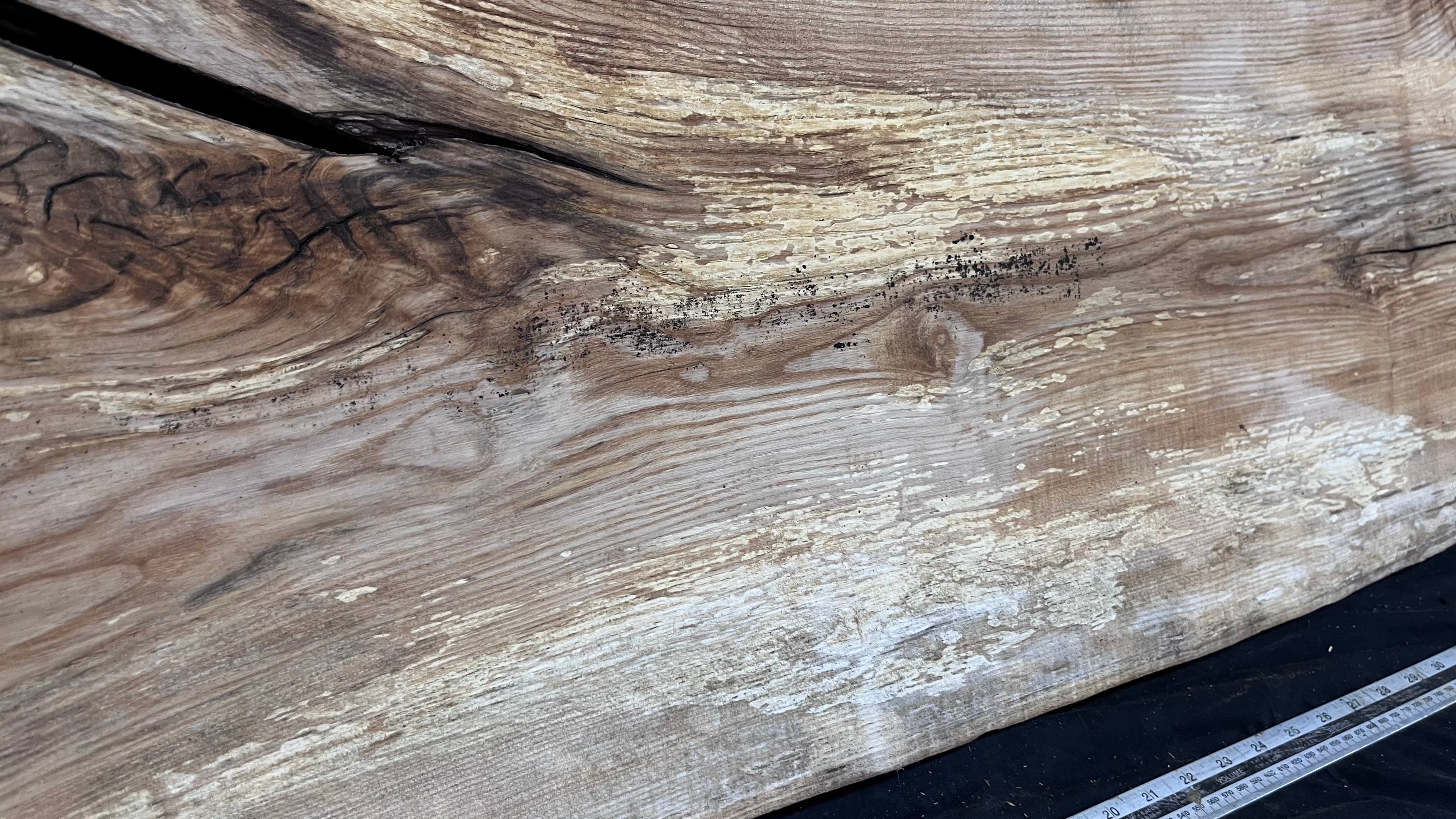 Resin table top, ash boards, shelving 1224 L x 528 W x 35 D mm       (612)