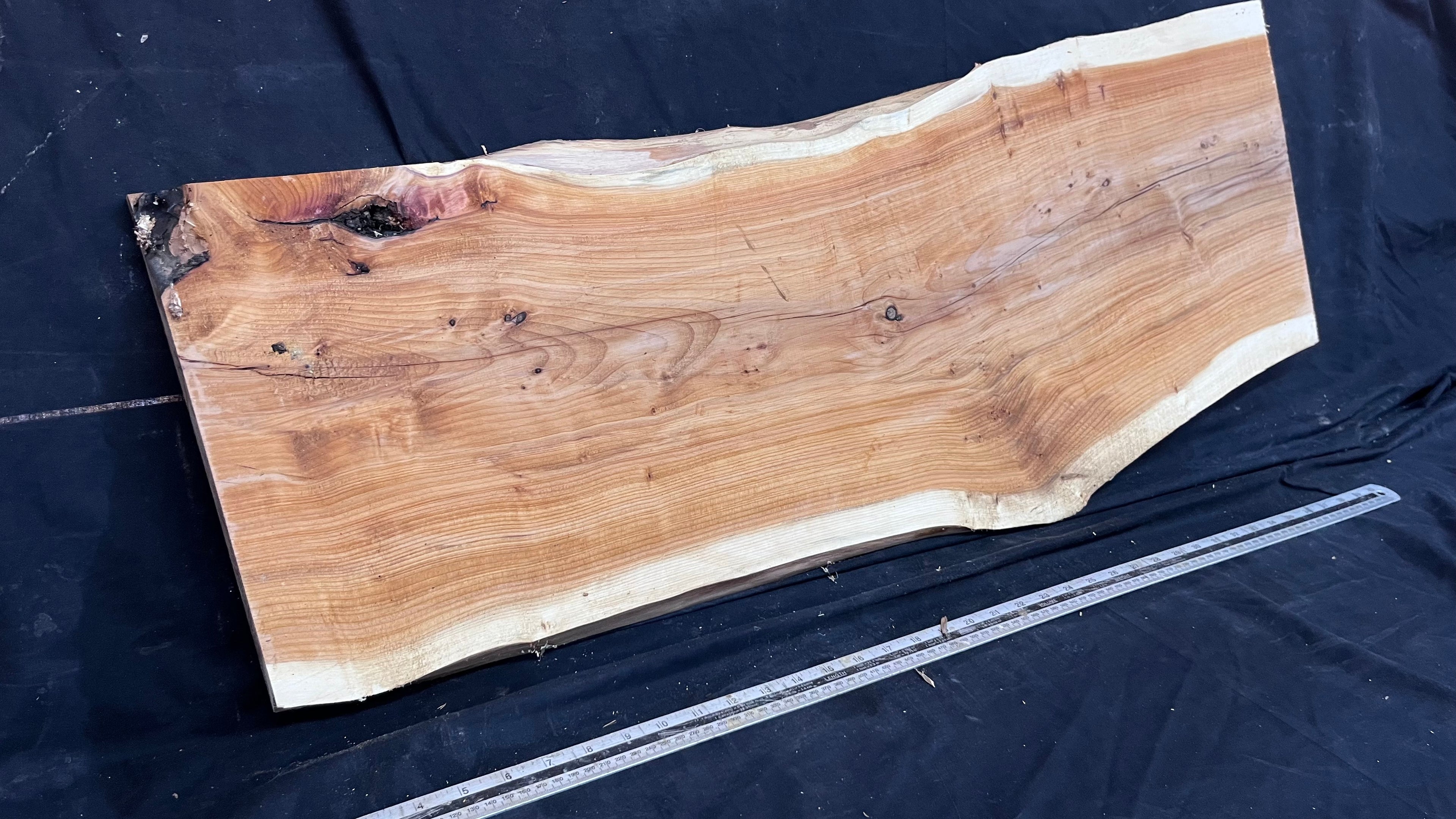 Hardwood yew, slab, board 1006 L x 388 W x 37 D mm    (615)