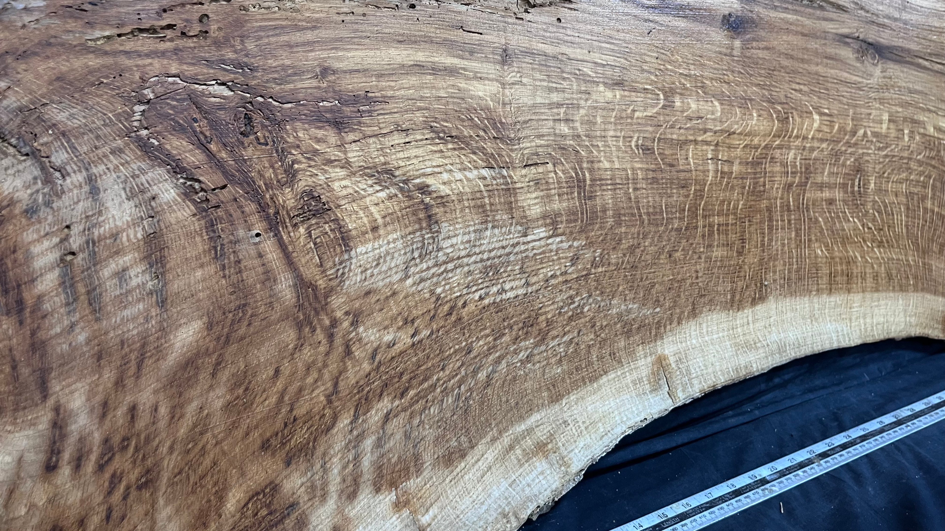 Brown oak, coffee table top,craft wood, shelf, 1181 L x 561 W x 31 D mm     (mt625)
