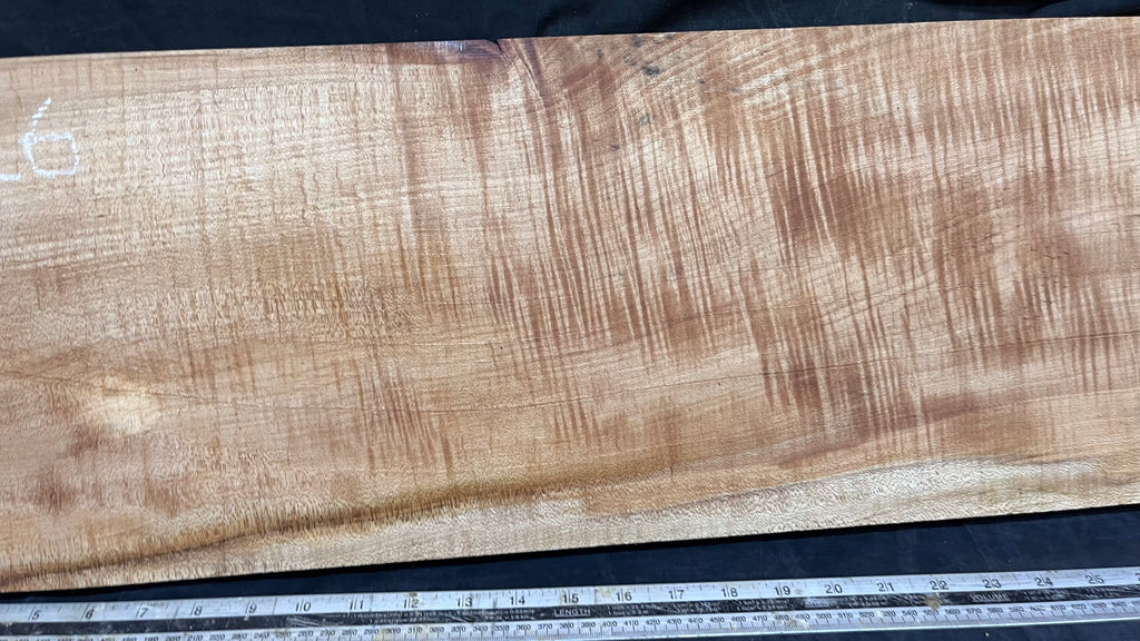 Rippled sycamore tone wood, guitar drop top 710 L x 250 W x 22 D (mm)    (626)
