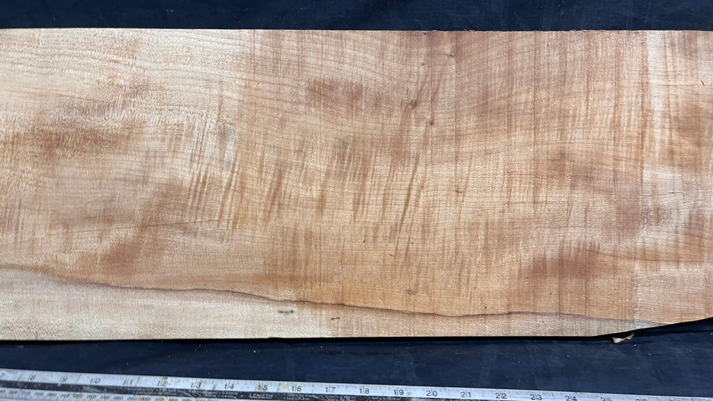 Rippled sycamore tone wood, guitar drop top 710 L x 250 W x 22 D (mm)    (628)