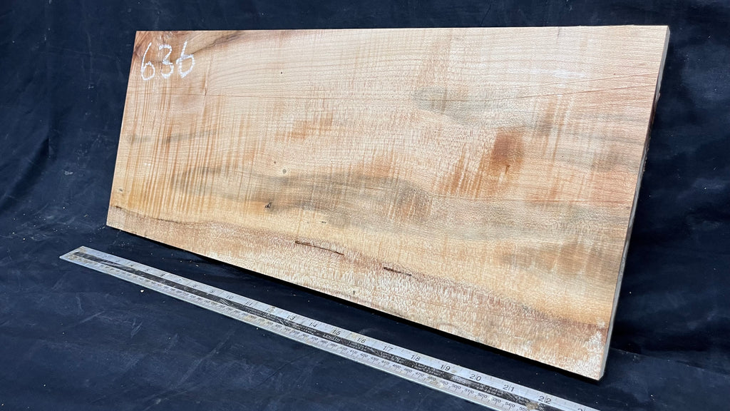 Rippled sycamore tone wood, guitar drop top 598 L x 247 W x 20 D mm     (636)