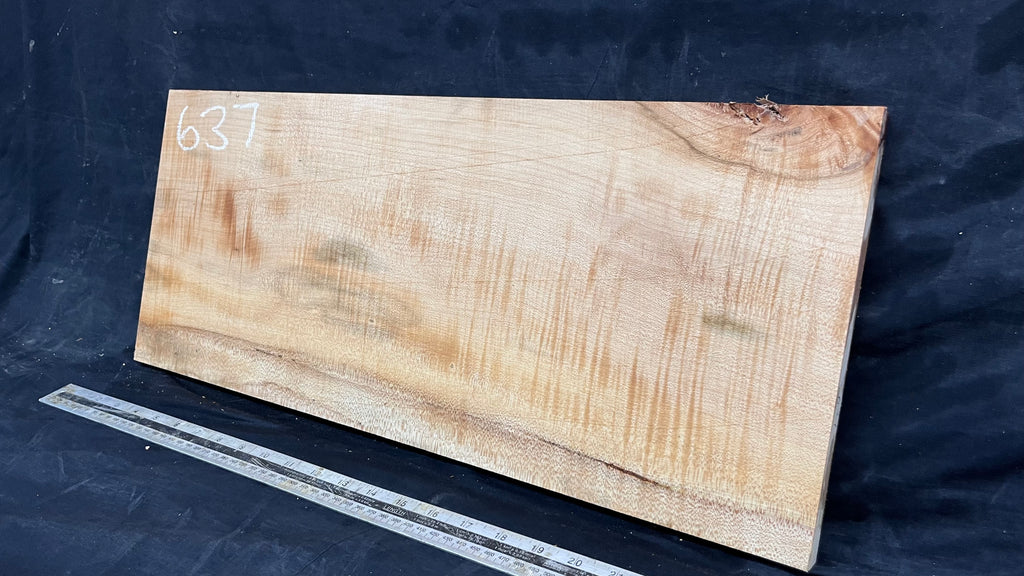 Rippled sycamore tone wood, guitar drop top 598 L x 247 W x 20 D mm     (637)