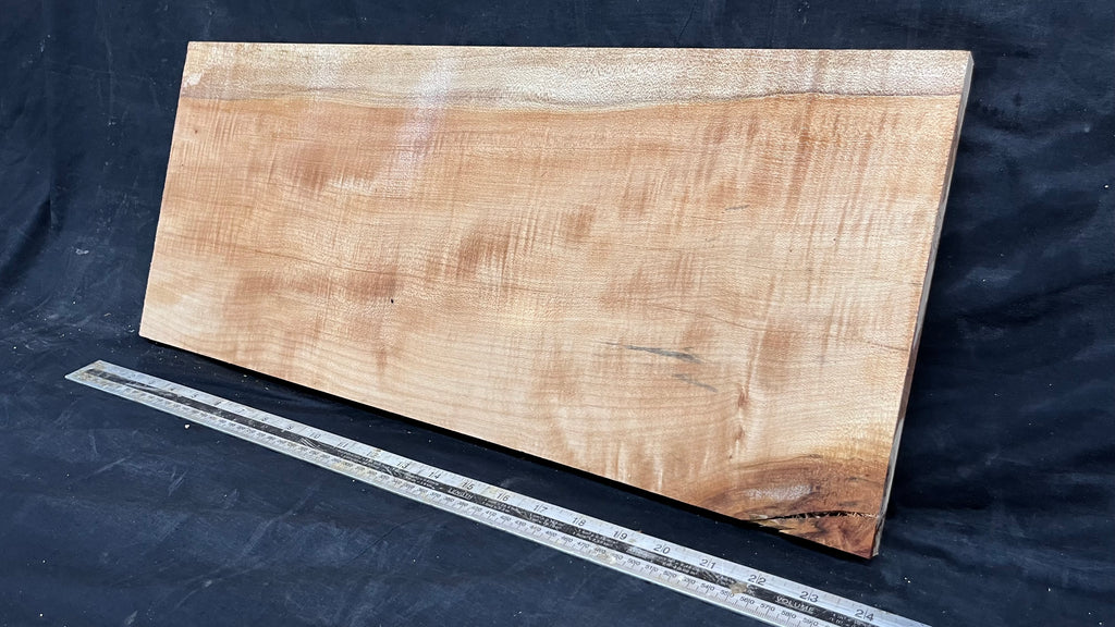 Rippled sycamore tone wood, guitar drop top 598 L x 247 W x 20 D mm     (637)