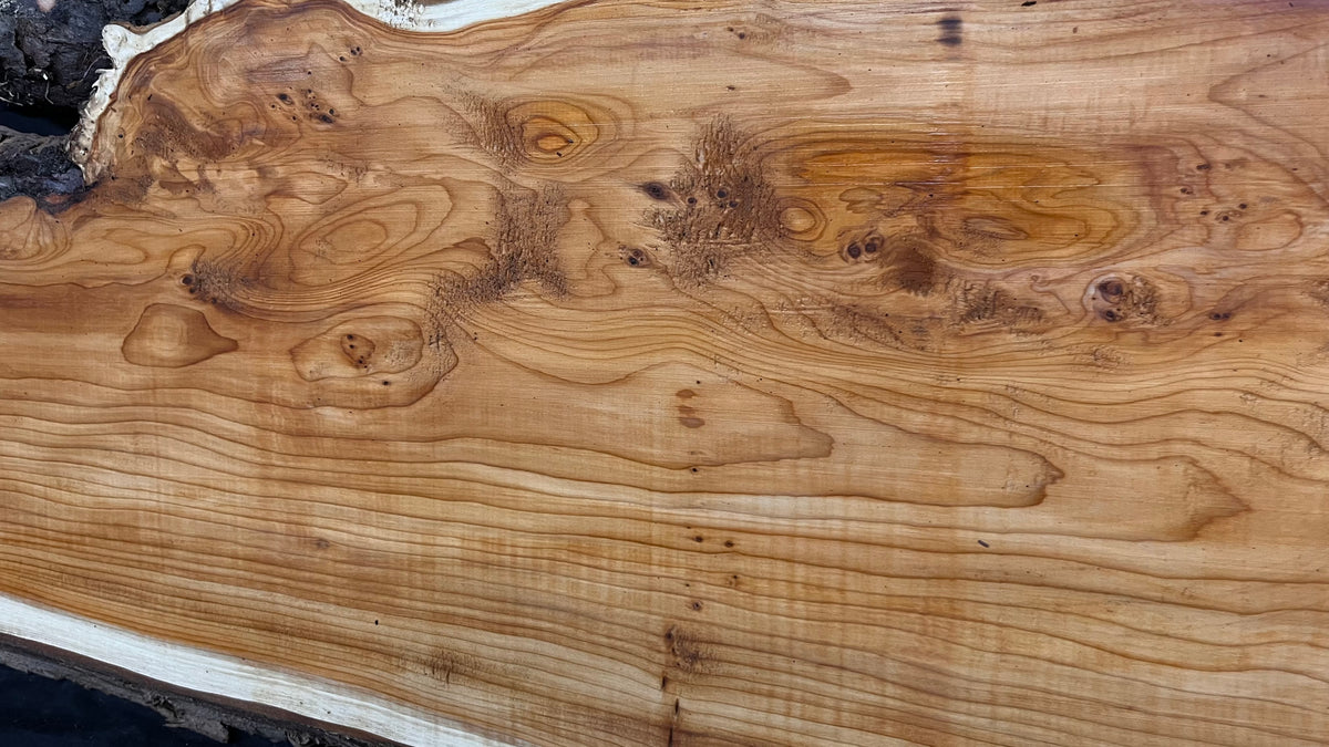 Coffee table top, yew, slab, board 1306 L x 450 W x 25 D mm    (775)