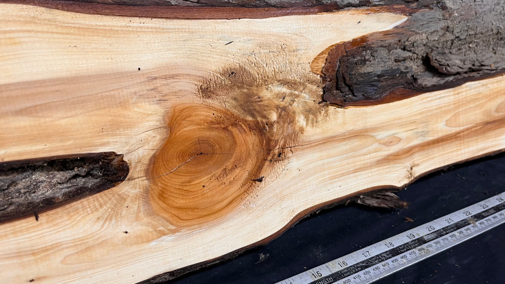 Yew, slab, shelf, mantle, board 821 L x 218 W x 28 D mm    (777)