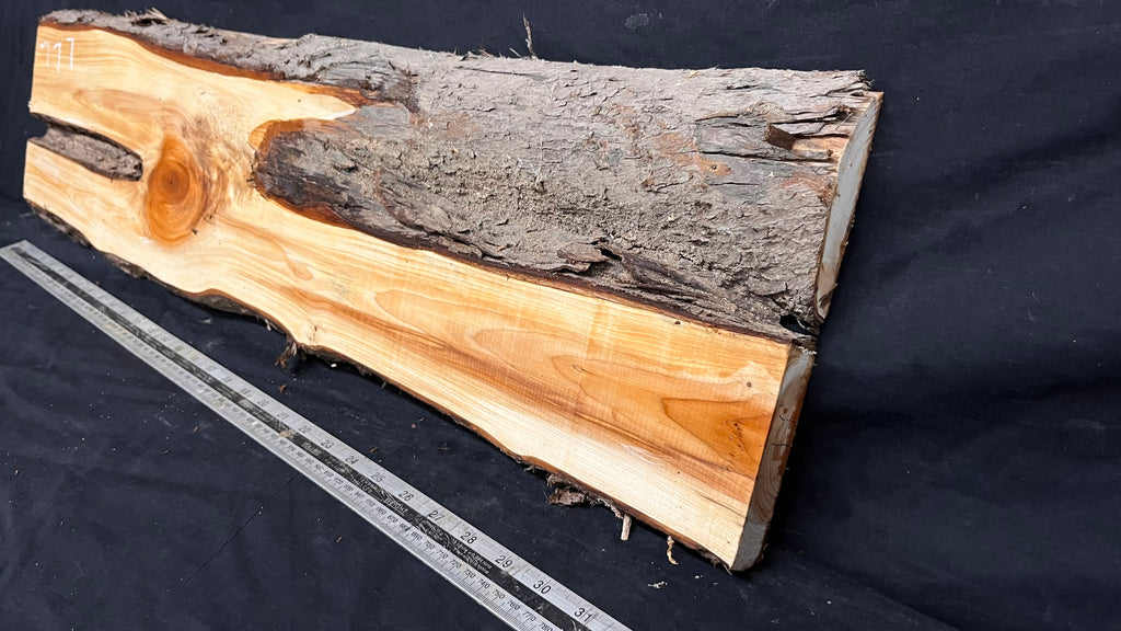 Yew, slab, shelf, mantle, board 821 L x 218 W x 28 D mm    (777)